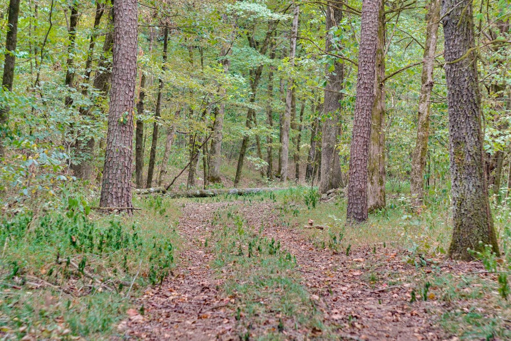 Ozark Mountain Cabin Rental On 300-Acre Ranch Eksteriør bilde